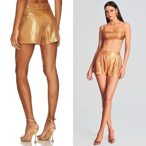 NWT RETROFETE Set Silk Metallic Chiffon High Waist Pleated Short & Bra Top XL - Picture 6 of 16